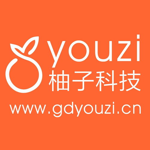 廣東柚子網(wǎng)絡科技 賦能企業(yè)數(shù)字化轉型的本地化網(wǎng)絡技術服務專家